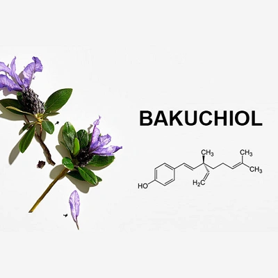 Gợi ý kem dưỡng Bakuchiol phù hợp với mọi loại da