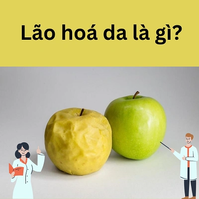Lão hóa da là gì? 7 nguyên nhân, 6 dấu hiệu, 11 giải pháp